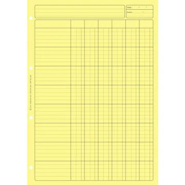 BLOC AUDIT JAUNE : 6 colonnes avec en-tête - Feuille de travail  (2661 ELVE)