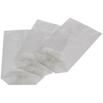 Sachet en cellophane transparent - 180 x 300 mm : FOLIA Lot de 10 Modèle