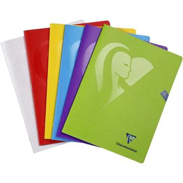 Cahier 240 x 320 mm Petits carreaux - 96 pages CLAIREFONTAINE Mimesys Modèle