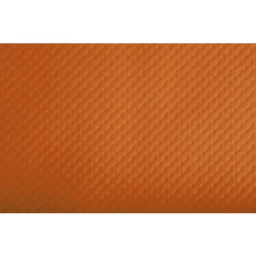 Sets de Table papier - Orange : COGIR Lot de 500 Visuel