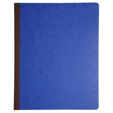 LE DAUPHIN : Registre 16 colonnes sur 2 pages 3080D