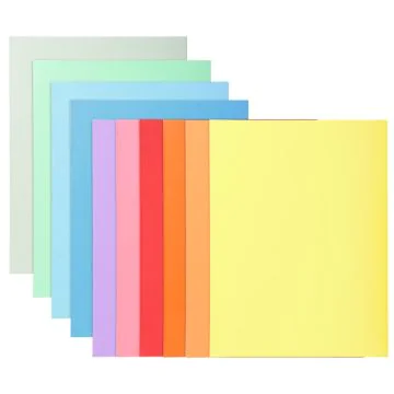 330100E EXACOMPTA : Chemises pour dossiers A4 SUPER 210 - Assortiment