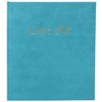 Livre d'or - 270 x 220 mm - 100 pages - Gris : EXACOMPTA Ellipse image