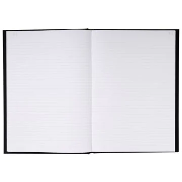 Registre de 200 pages lignées et foliotées - 297 x 210 mm LE DAUPHIN 397209D