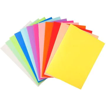 410000E EXACOMPTA Chemises pour dossiers A4  FOREVER 220 - Assortiment