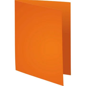Lot de 100 Chemises pour dossiers - Orange : EXACOMPTA Forever 170 Visuel