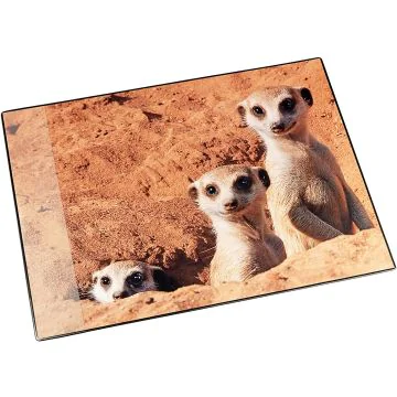 Sous-mains de bureau - 400 x 530 mm - Suricates : LAUFER Visuel