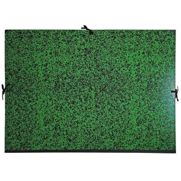 EXACOMPTA 532800E Carton à dessin Raisin  Grand format