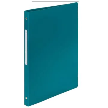 Exacompta 54193E : Classeur souple vert - 2 anneaux