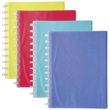 Protège-Documents de 40 Vues détachables - Assortiment : EXACOMPTA Linicolor Visuel
