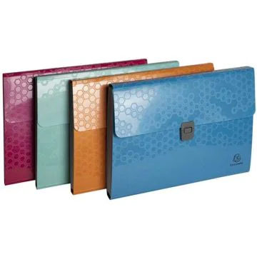 Trieur Valisette 13 compartiments - Assortiment : EXACOMPTA Maïa image