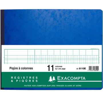 EXACOMPTA 6110E Registre de 11 colonnes sur 1 page - 250 x 320 mm (Journal comptable)