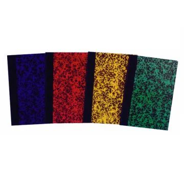 ELVE 61312 : Registre de 200 pages quadrillées avec foliotage - 297 x 210 mm