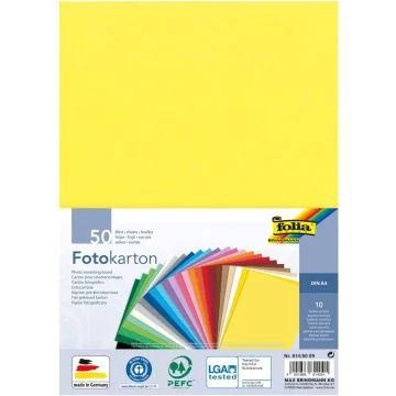Carton de Bricolage A4 - Assortiment 300 g FOLIA Lot de 50
