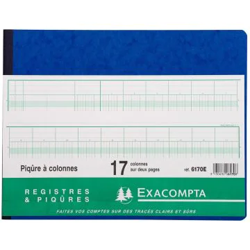 EXACOMPTA 6170E : Registre de17 colonnes sur 2 pages - 250 x 320 mm (Cahier comptable)