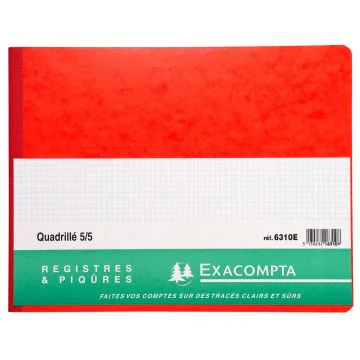 EXACOMPTA 6310E : Registre de 80 pages quadrillées 250 x 320 mm (horizontal)