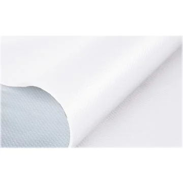 Nappes papier 80 x 80 cm - Blanc : COGIR Lot de 200 Image