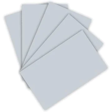 Feuilles de couleur A4 - 210 x 297 mm - Gris clair : FOLIA Visuel