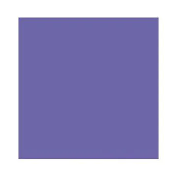 Feuilles de papier de couleur - 500 x 700 mm - Bleu violette : FOLIA Lot de 10
