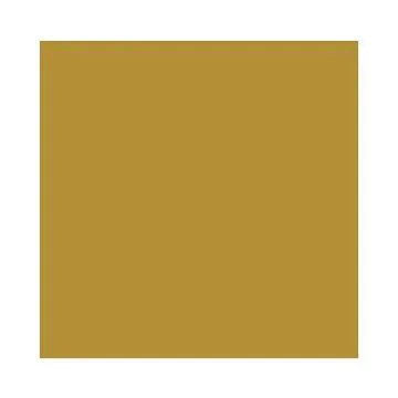 Feuilles de papier de couleur - 500 x 700 mm - Or mat : FOLIA Lot de 10