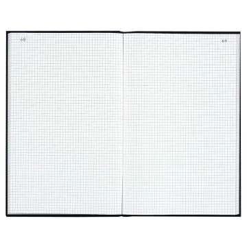 LE DAUPHIN Registre de 300 pages quadrillées avec foliotage - 340 x 225 mm 7539D