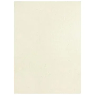 Photo Plat de couverture pour reliure A4 - Carton Grain Cuir - Blanc mat PAVO 8011100