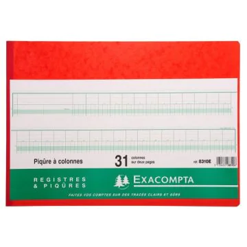 EXACOMPTA 8310E : Registre - 31 colonnes sur 2 pages - 280 x 380 mm Couverture