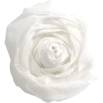 Papier Crépon - Blanc - 500 x 2500 mm : CLAIREFONTAINE Exemple