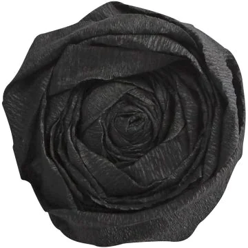 Papier Crépon - Noir : CLAIREFONTAINE Visuel