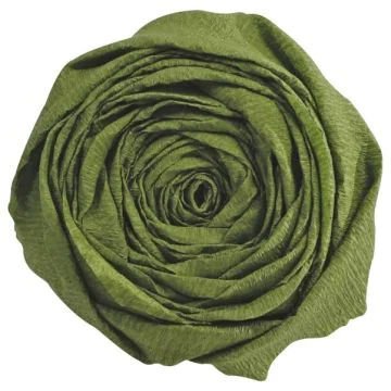 Papier Crépon - Vert mousse : CLAIREFONTAINE Visuel