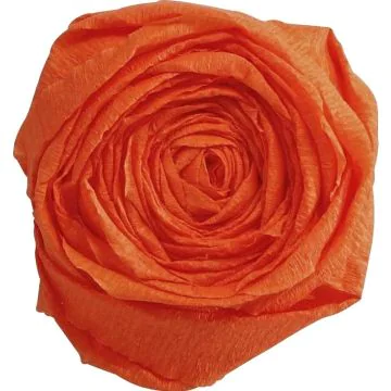 Papier Crépon - Orange : CLAIREFONTAINE Visuel
