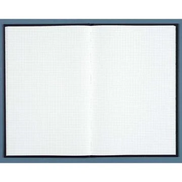 Registre - 400 pages quadrillées - 390 x 255 mm - LE DAUPHIN  image