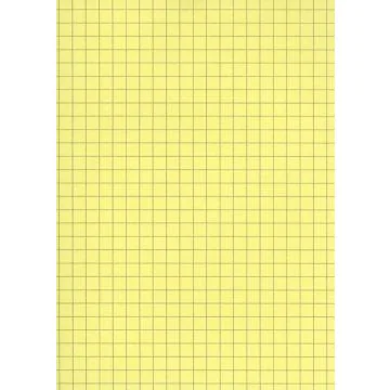 Fiches Bristol - 125 x 200 mm - Jaune quadrillé ELVE B12513J jaune