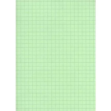 Fiches Bristol - 125 x 200 mm - Vert quadrillé ELVE B12513V 