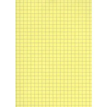 Fiches Bristol A4 - 297 x 210 mm - Jaune quadrillé ELVE B29713J Fournitures jaune