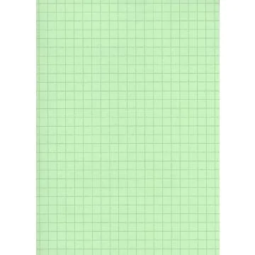 Fiches Bristol - 75 x 125 mm - Vert quadrillé ELVE B7513V vert