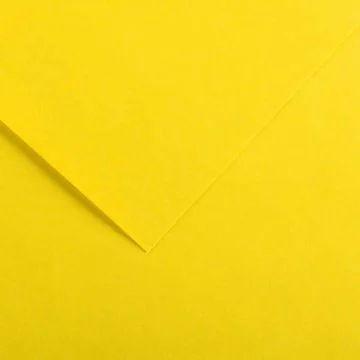 Feuilles de couleur 500 x 650 mm - Gris Clair - CANSON Vivaldi