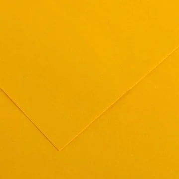 Feuilles de couleur 500 x 650 mm - Gris Clair - CANSON Vivaldi