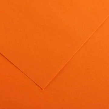 Feuilles de couleur 500 x 650 mm - Noir - CANSON Vivaldi