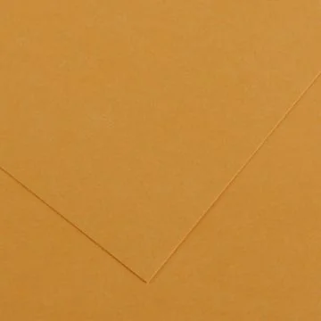 Feuilles de couleur 500 x 650 mm - Cuir - CANSON Vivaldi