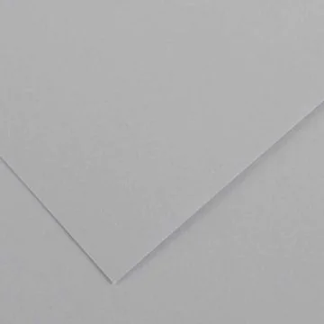 Feuilles de couleur 500 x 650 mm - Gris Clair - CANSON Vivaldi