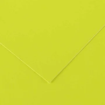 Feuilles de couleur 500 x 650 mm - Noir - CANSON Vivaldi