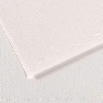 Feuille de papier dessin Mi-teintes - Blanc - 500 x 650 mm : CANSON Visuel