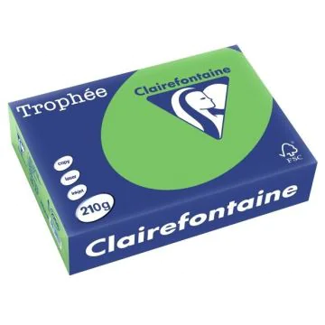 Ramette de papier de 250 feuilles A4 210g - Vert Menthe : CLAIREFONTAINE Trophée Visuel