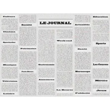 Sets de Table Restaurant - Motif Journal COGIR Lot de 400