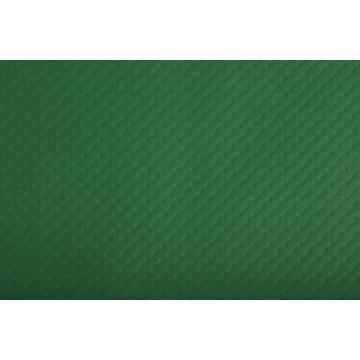 Lot de 500 Sets de Table papier - Vert sapin : COGIR Visuel