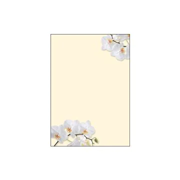 SIGEL DP904 : Lot de 50 feuilles de papier - Orchidée blanche
