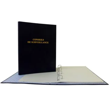 LE DAUPHIN : Registre - Conseil de surveillance 941d