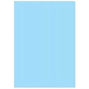 Fiches Bristol Unies A4 - 297 x 210 mm - Bleu : ELVE Lot de 100 Visuel