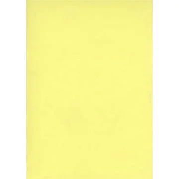 Fiches Bristol Unies A4 - 297 x 210 mm - Jaune : ELVE Lot de 100 Modèle